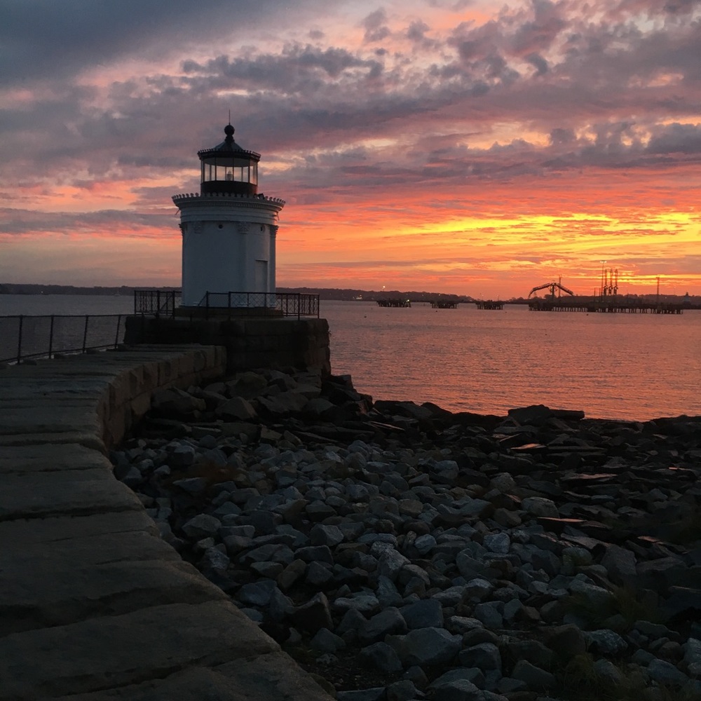 Meet your Posher, Shelby